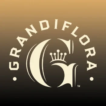 Grandiflora brand identity